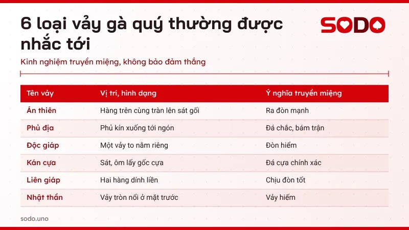 Bảng 6 loại vảy gà quý thường gặp với vị trí trên chân và ý nghĩa theo dân gian