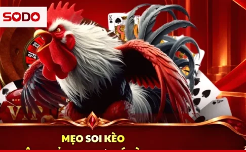 Đọc Hiểu Kèo Đá Gà Bằng Con Số: Tiền Thắng, Mức Hoà Vốn Và Trận Hoà