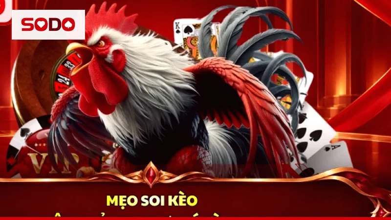 Bảng kèo đá gà Meron Wala hiển thị trên sảnh đá gà trực tuyến