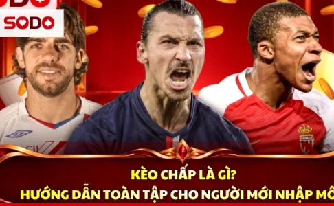 Kèo nửa trái chỉ có thắng hoặc thua: hiểu đúng trước khi xuống tiền