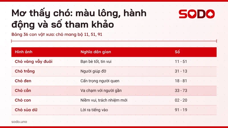 Bảng tra mơ thấy chó theo màu lông và hành động chó cắn, chó đen, chó con kèm con số tham khảo