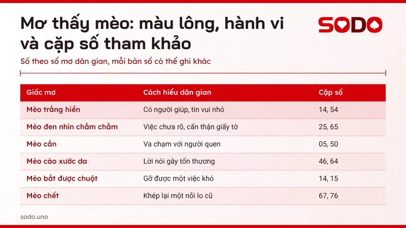 Bảng tra mơ thấy mèo theo màu lông và hành vi kèm cặp số tham khảo trong sổ mơ dân gian