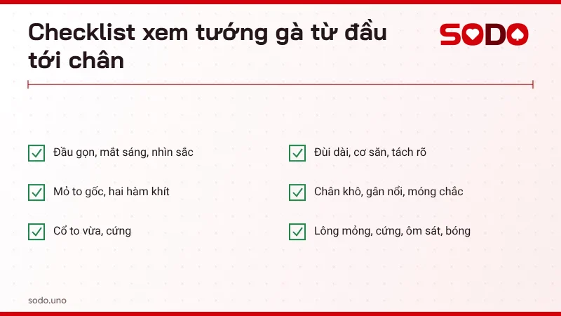 Checklist xem tướng gà khi chọn gà chiến gồm đầu, mắt, mỏ, cổ, chân, đùi và lông
