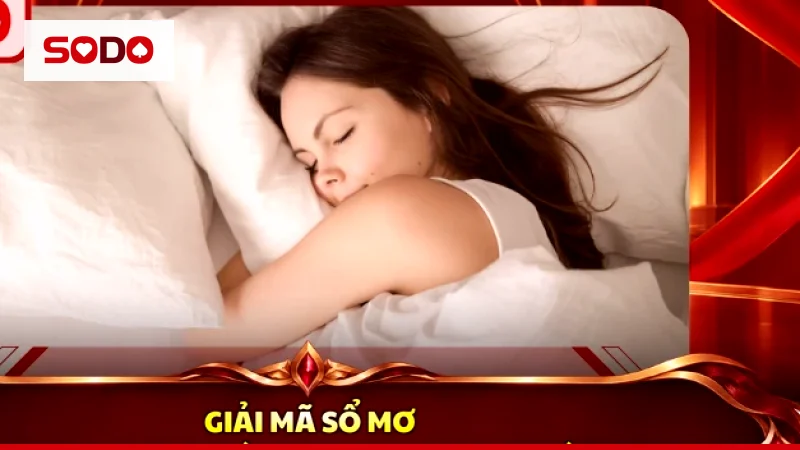 Giấc mơ thấy mèo được giải theo màu lông, hành vi và con số trong sổ mơ dân gian