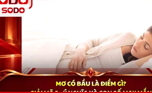 Giải giấc mơ thấy đám cưới theo từng vai: cô dâu, khách mời hay người yêu cũ