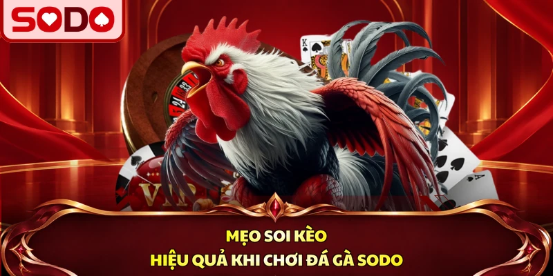 Mẹo soi kèo hiệu quả khi chơi đá gà SODO