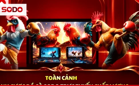 Nhìn Chân Đoán Gà: Xem Vảy Gà Theo Dân Gian Và Giới Hạn Của Nó