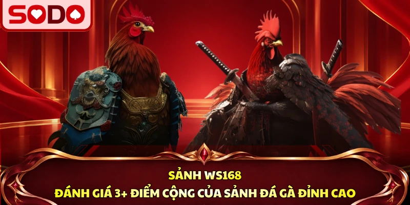 Sảnh WS168 SODO | 3+ Điểm Cộng Của Chọi Kê HOT Đỉnh