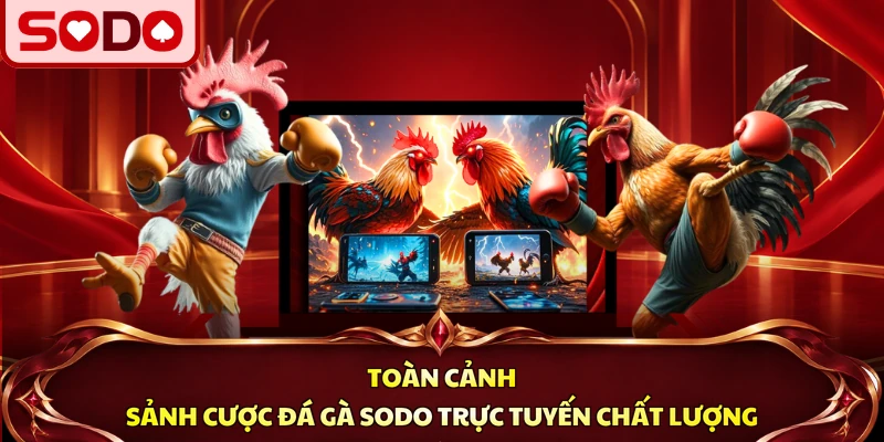 Toàn cảnh sảnh cược đá gà SODO trực tuyến chất lượng